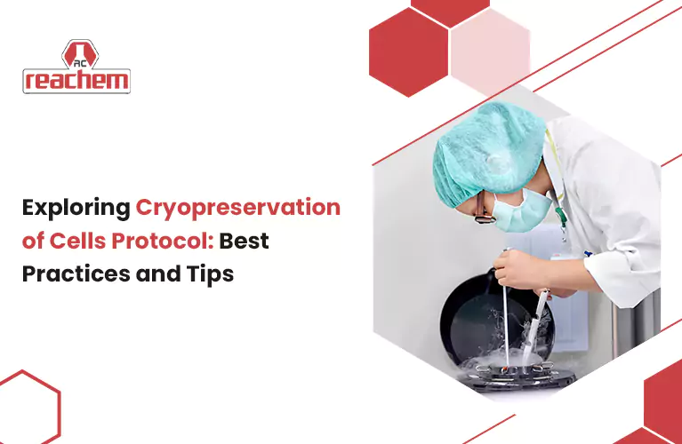 Exploring Cryopreservation of Cells Protocol: Best Practices and Tips
