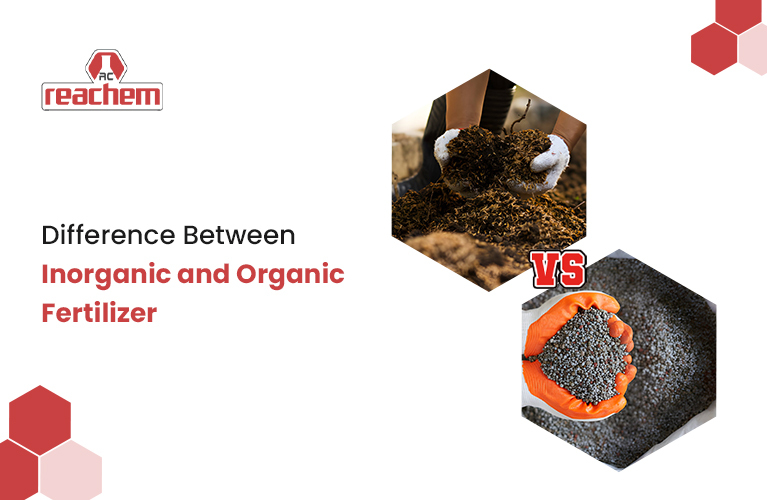 Difference Between Inorganic and Organic Fertilizer
