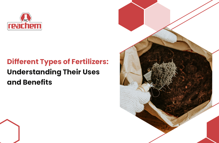 Different Types of Fertilizers: Understanding Their Uses and Benefits