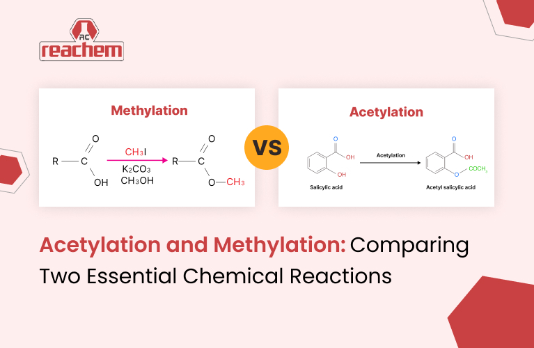 Acetylation and Methylation: Comparing Two Essential Chemical Reactions